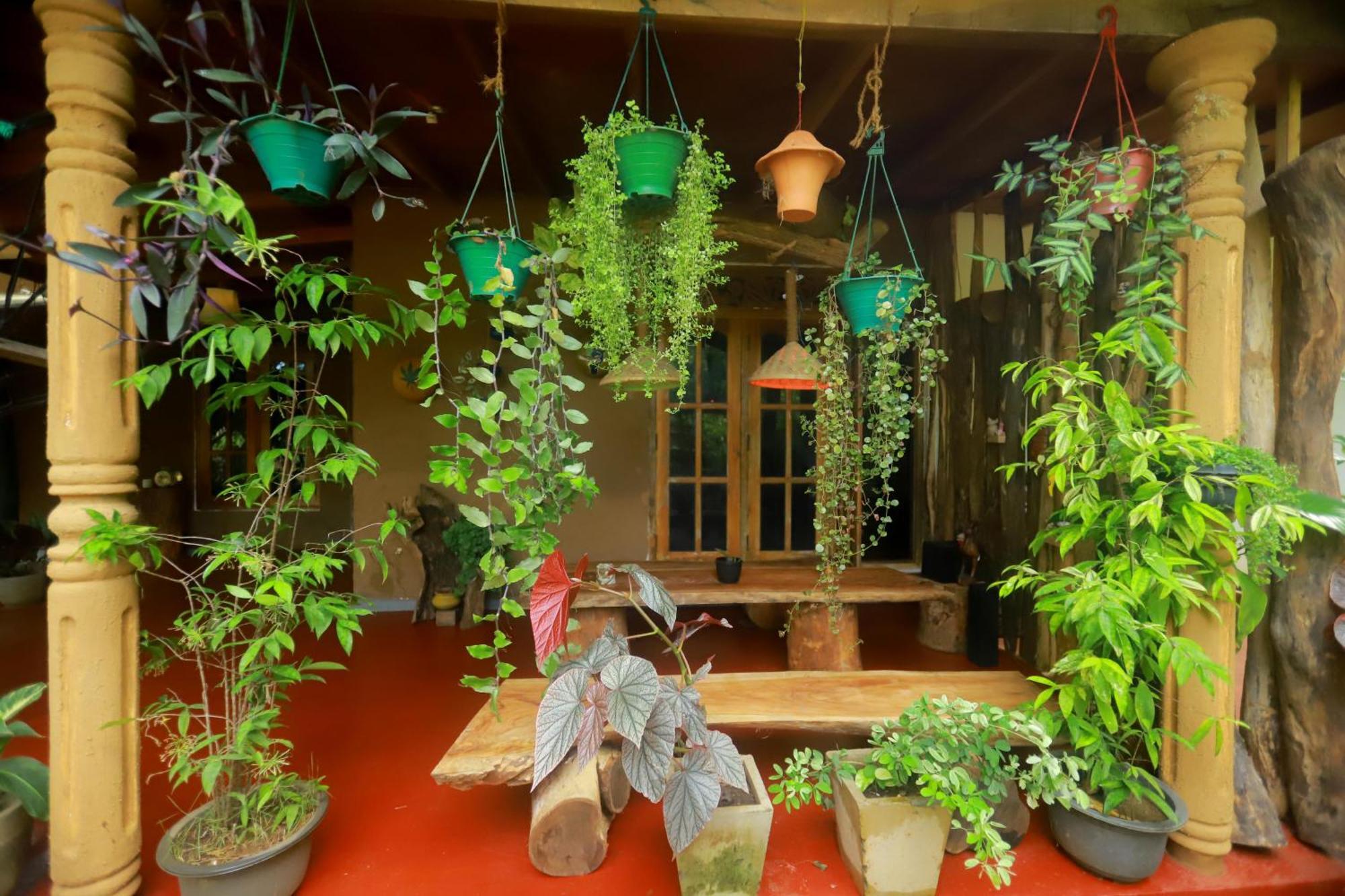 Dinna Nature Hostel Сигирия Экстерьер фото