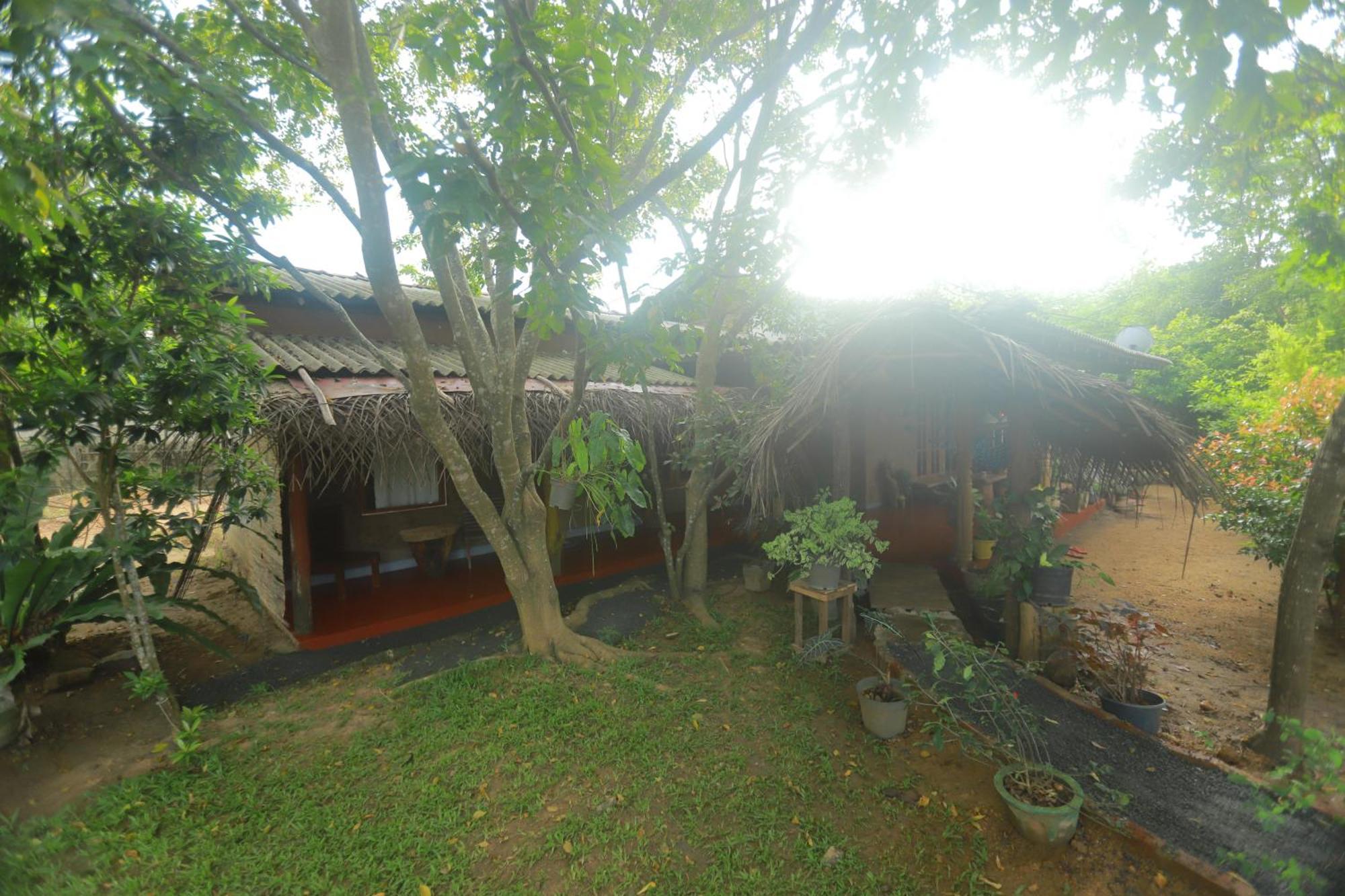 Dinna Nature Hostel Сигирия Экстерьер фото